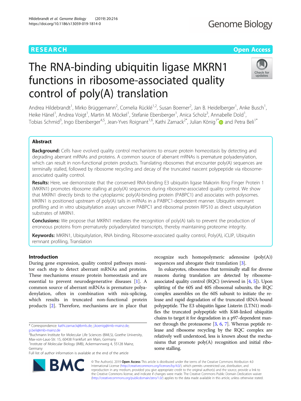 The RNA-Binding Ubiquitin Ligase MKRN1 Functions in Ribosome