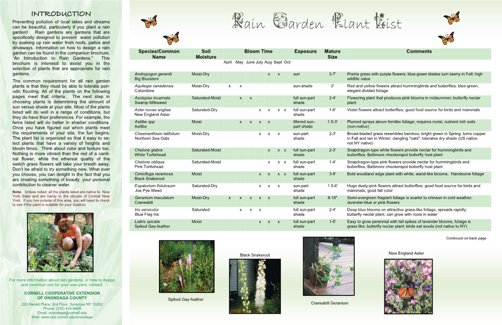 Rain Garden Plant List