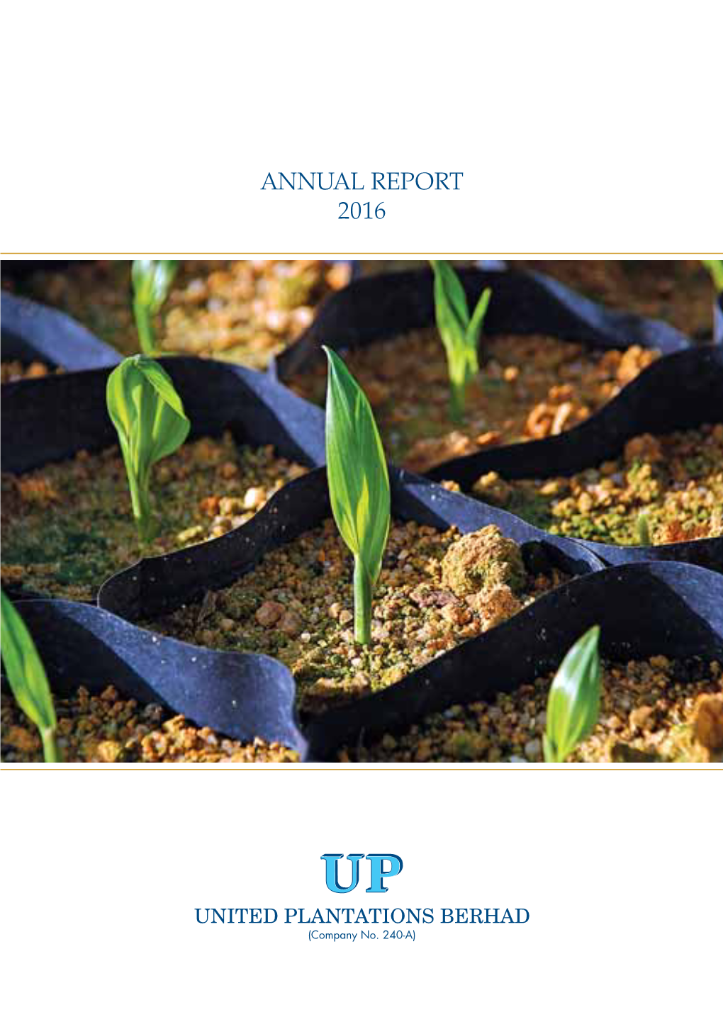 ANNUAL REPORT 2016 Brief History and Principal Business Activity