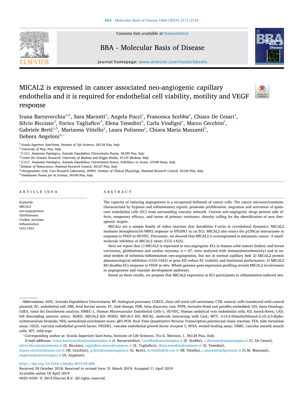 MICAL2 Is Expressed in Cancer Associated Neo-Angiogenic Capillary