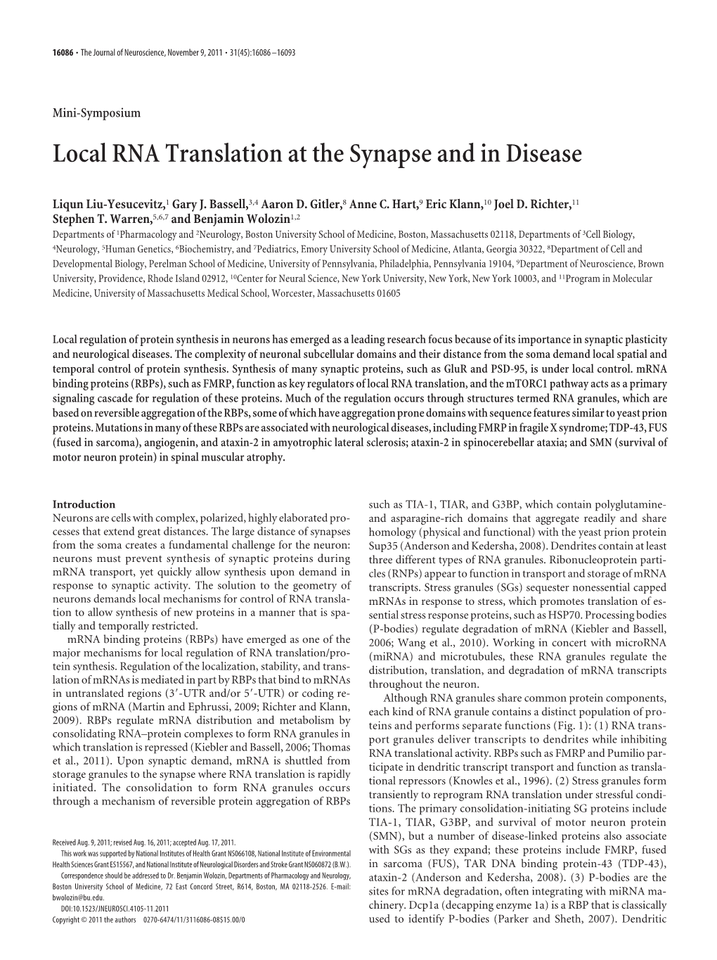 Local RNA Translation at the Synapse and in Disease