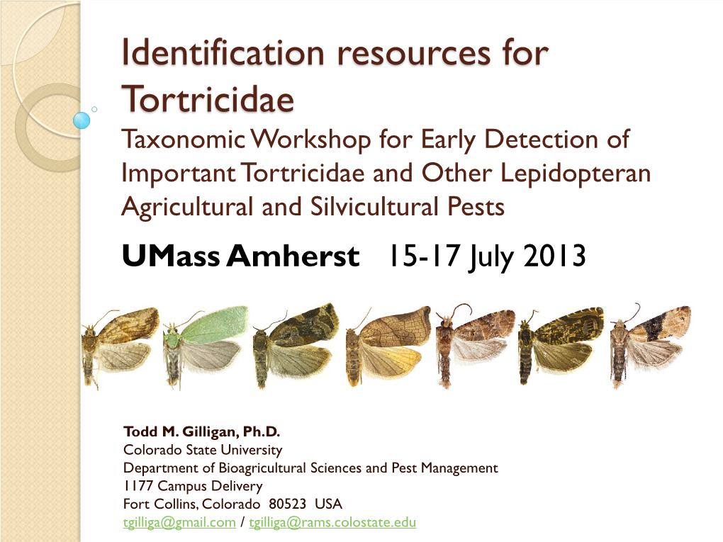 Identification Resources for Tortricidae Taxonomic Workshop for Early Detection of Important Tortricidae and Other Lepidopteran Agricultural and Silvicultural Pests