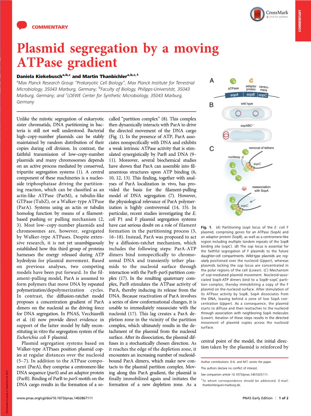 Plasmid Segregation by a Moving Atpase Gradient