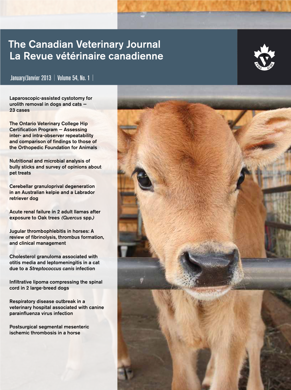 The Canadian Veterinary Journal La Revue Vétérinaire Canadienne