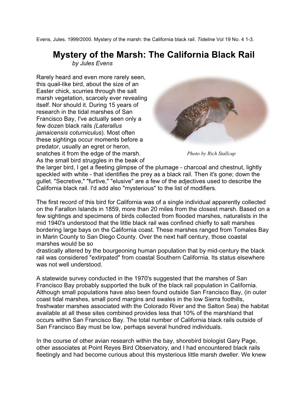 M Mystery Y of the Marsh : the C Californ Ia Blac Ck Rail