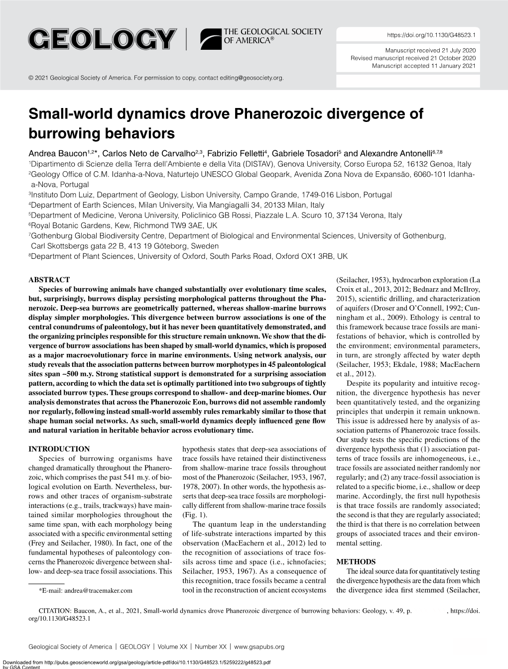 Small-World Dynamics Drove Phanerozoic Divergence Of