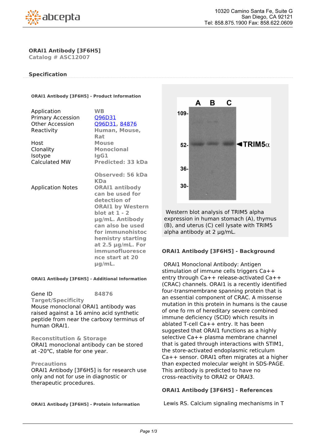 ORAI1 Antibody [3F6H5] Catalog # ASC12007