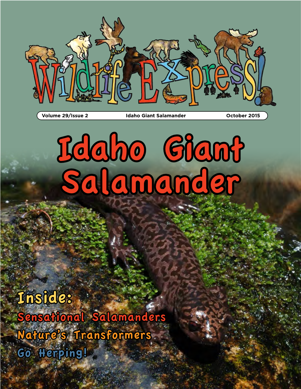 Giant Salamandersmay Breed Inthespring Or Larvae (LAR-Vee) Andthenturninto Adults.Idaho Life Stages