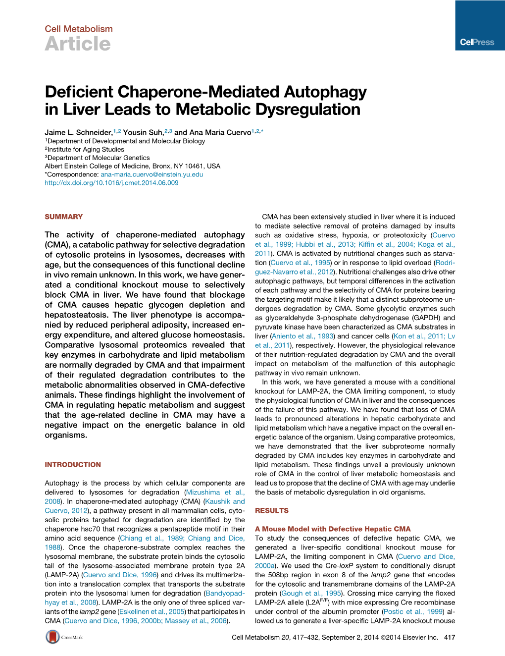 Deficient Chaperone-Mediated Autophagy in Liver Leads To