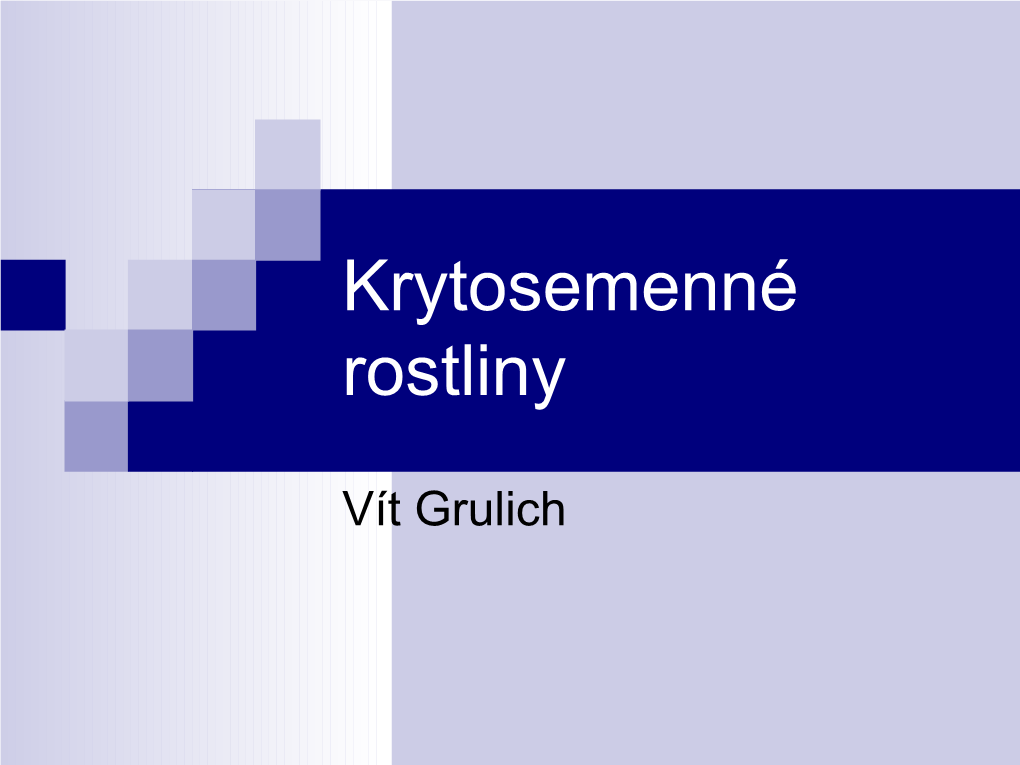 Krytosemenné Rostliny