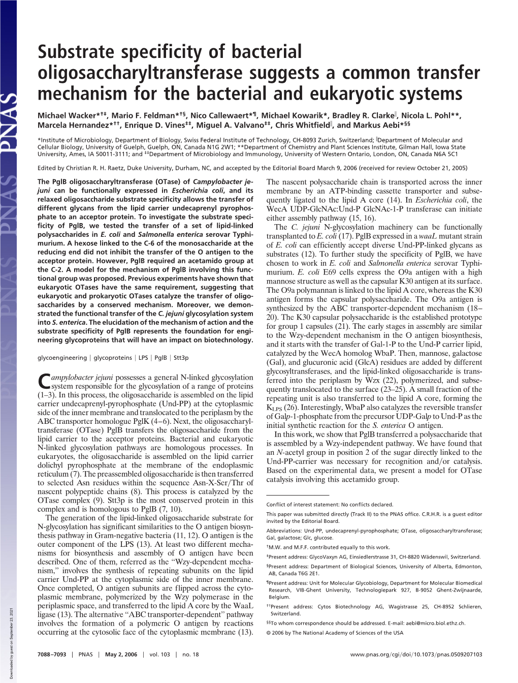 Substrate Specificity of Bacterial Oligosaccharyltransferase Suggests a Common Transfer Mechanism for the Bacterial and Eukaryotic Systems