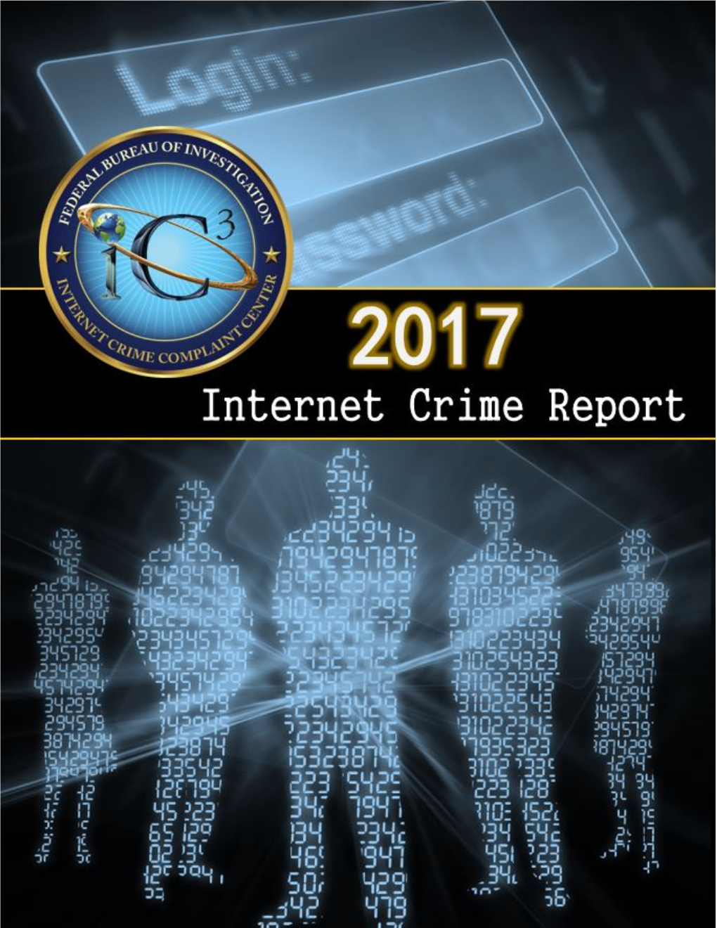 2017 Internet Crime Report 2