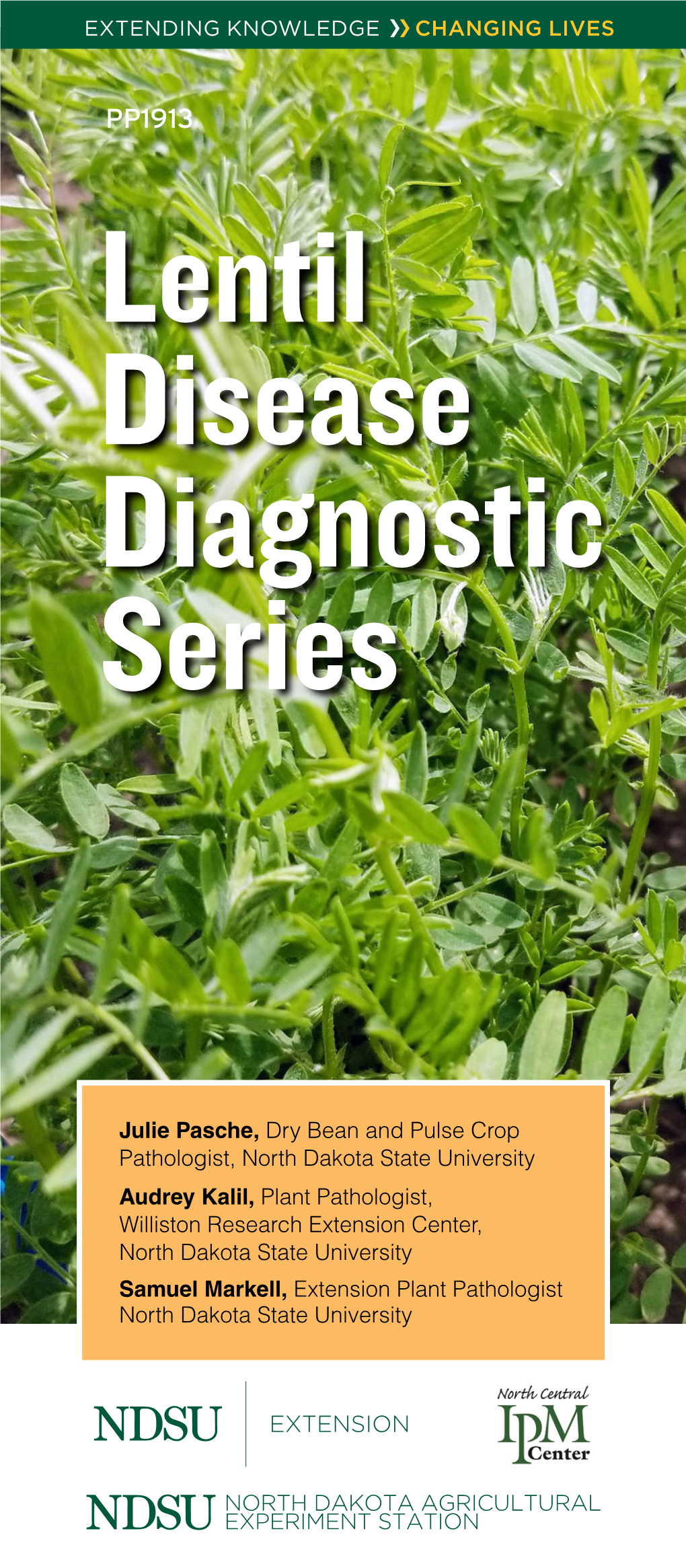 Lentil Disease Diagnostic Series