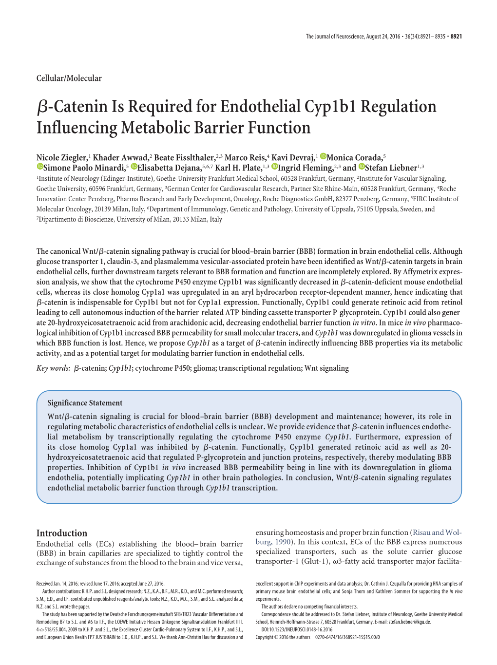 ß-Catenin Is Required for Endothelial Cyp1b1 Regulation Influencing Metabolic Barrier Function