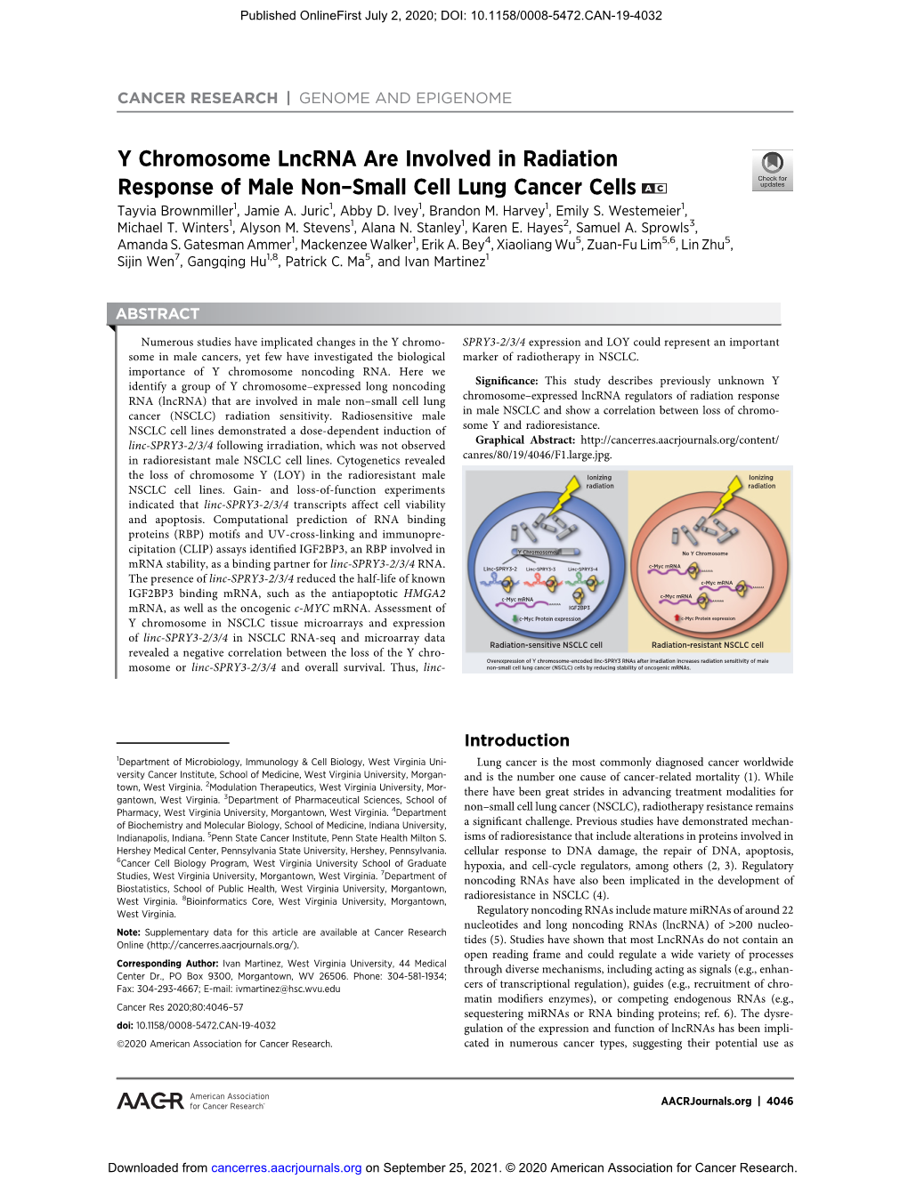 Y Chromosome Lncrna Are Involved in Radiation Response of Male Non–Small Cell Lung Cancer Cells a C Tayvia Brownmiller1, Jamie A