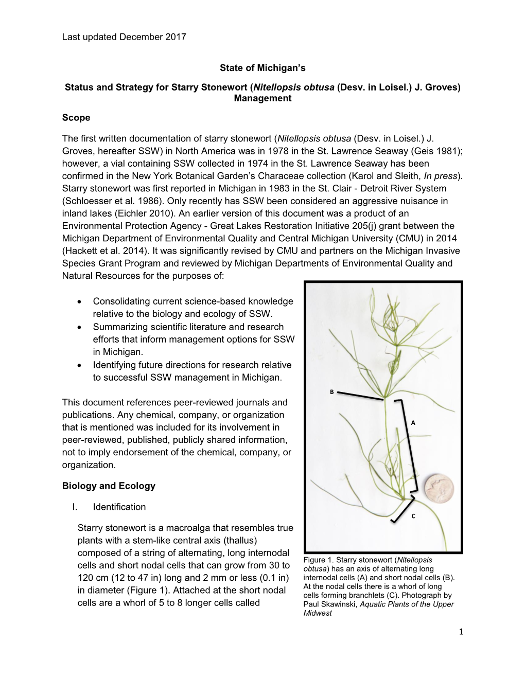 Status and Strategy for Starry Stonewort (Nitellopsis Obtusa (Desv