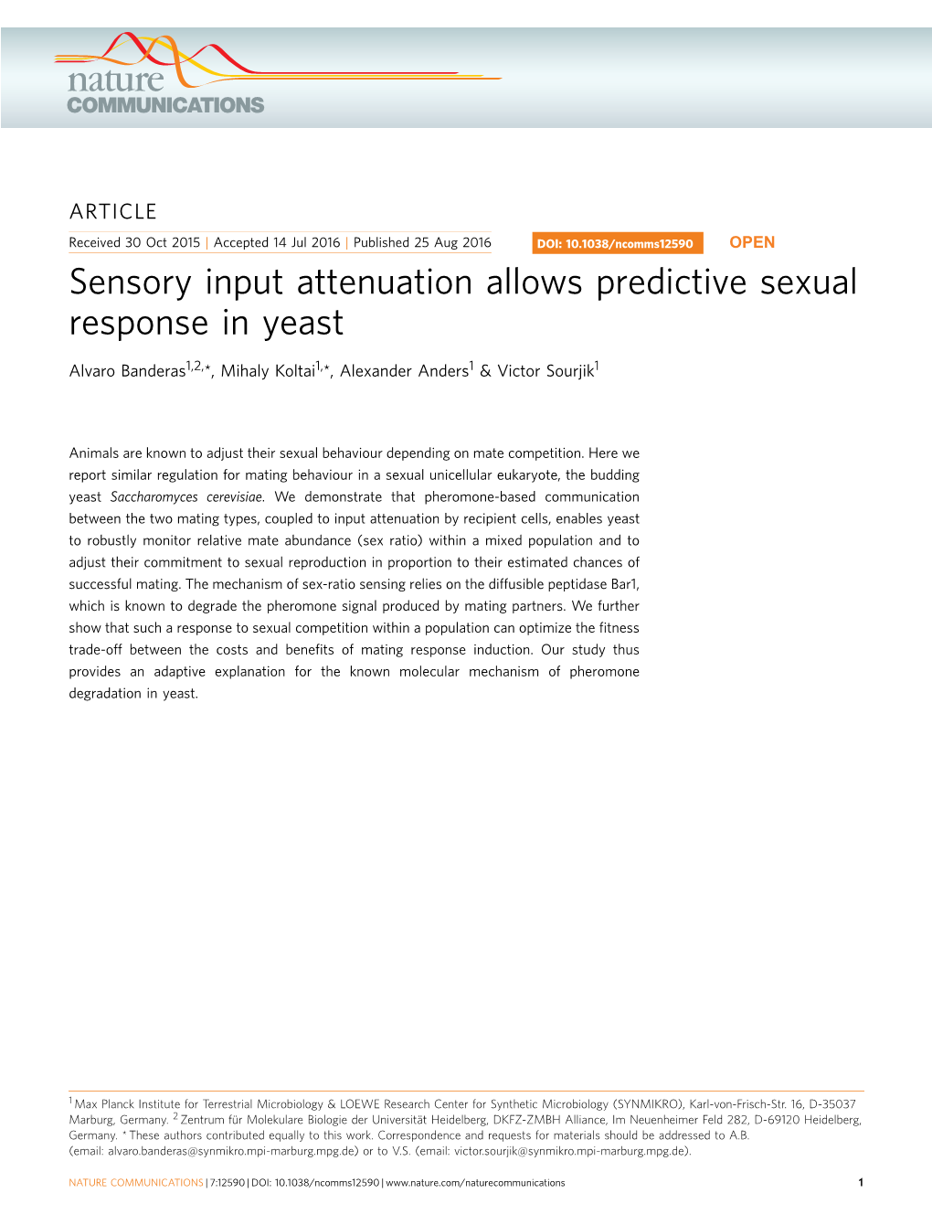 Sensory Input Attenuation Allows Predictive Sexual Response in Yeast