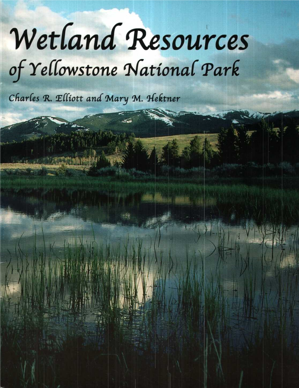 Wetland Resources of Yellowstone National Park