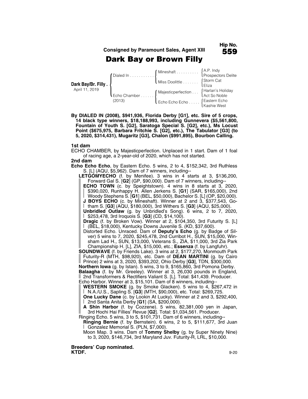 559 Dark Bay Or Brown Filly