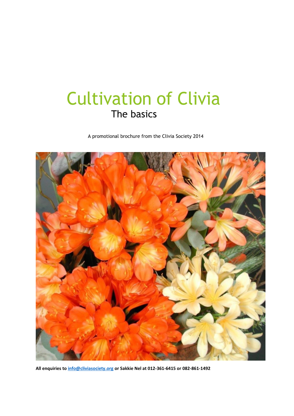 Cultivation of Clivia the Basics