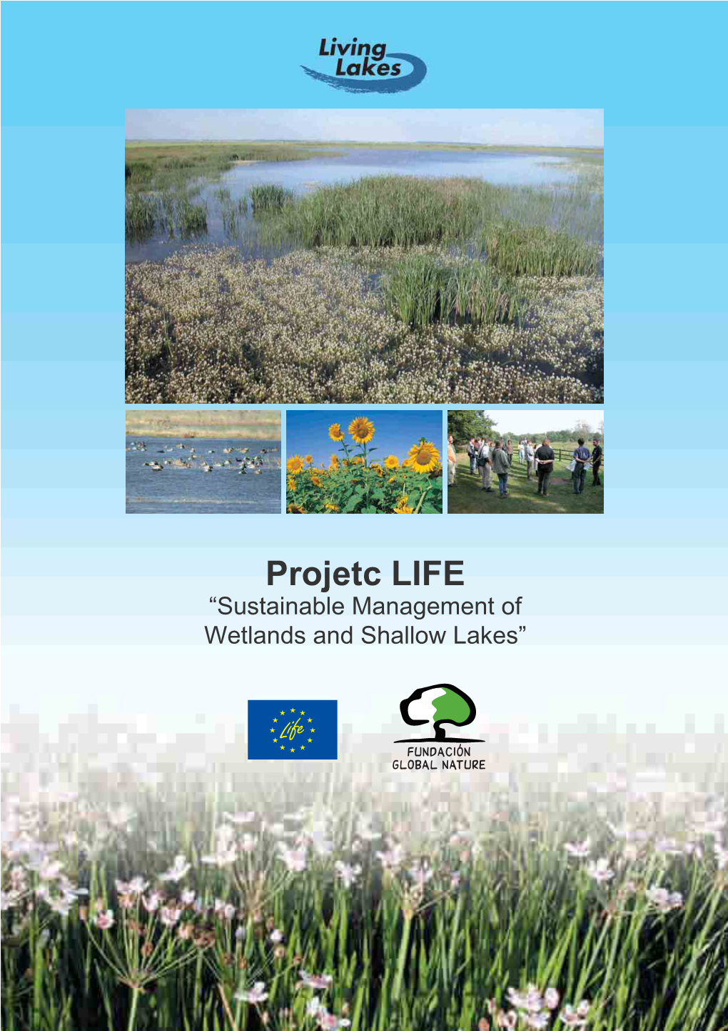 Sustainable Management of Wetlands and Shallow Lakes” 2 Project LIFE Project Results and Partners 3