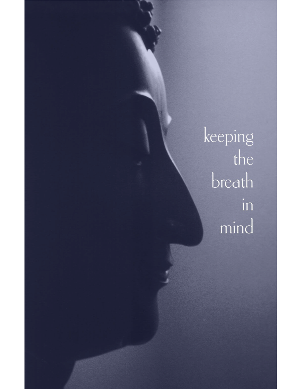 Keeping the Breath in Mind & Lessons in Samādhi