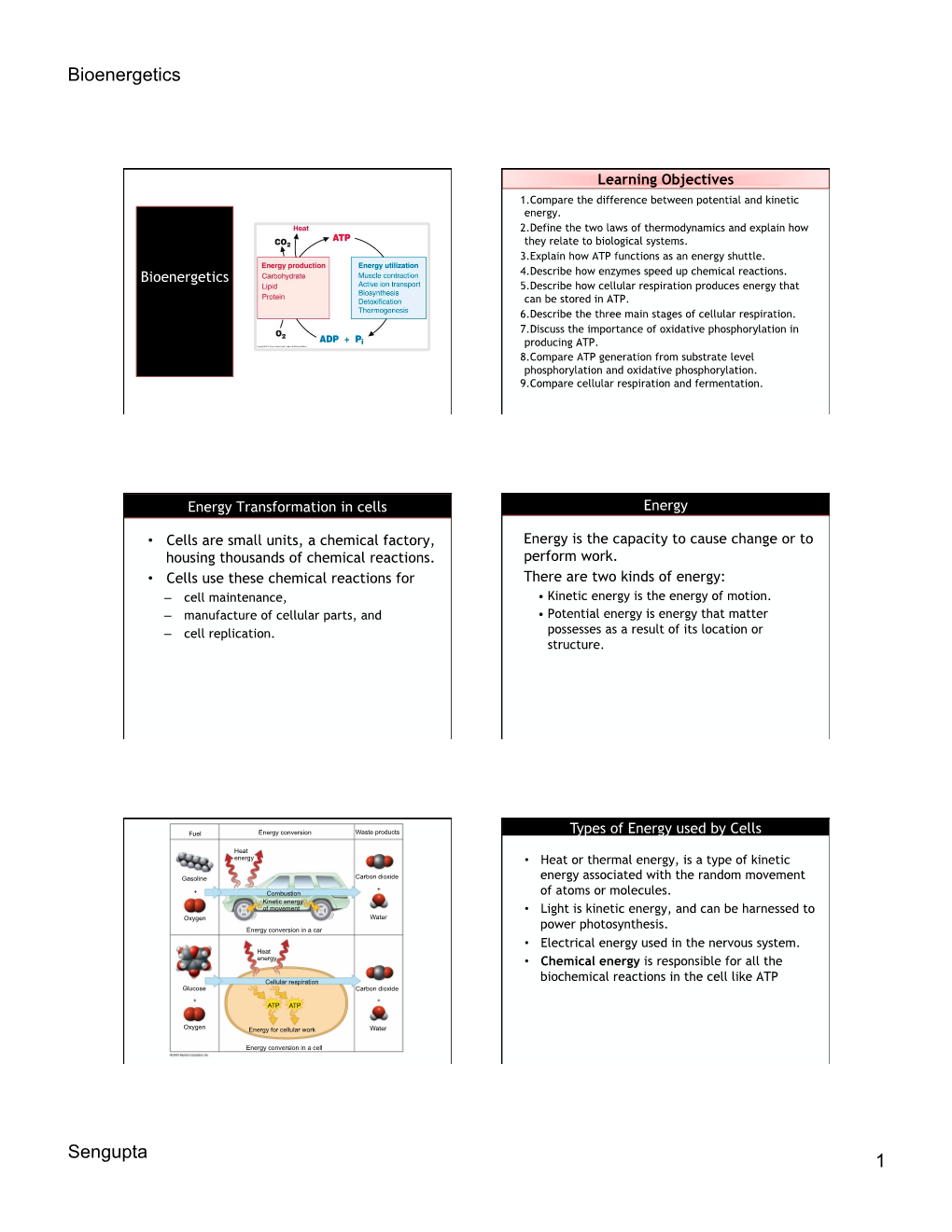 Bioenergetics Sengupta 1