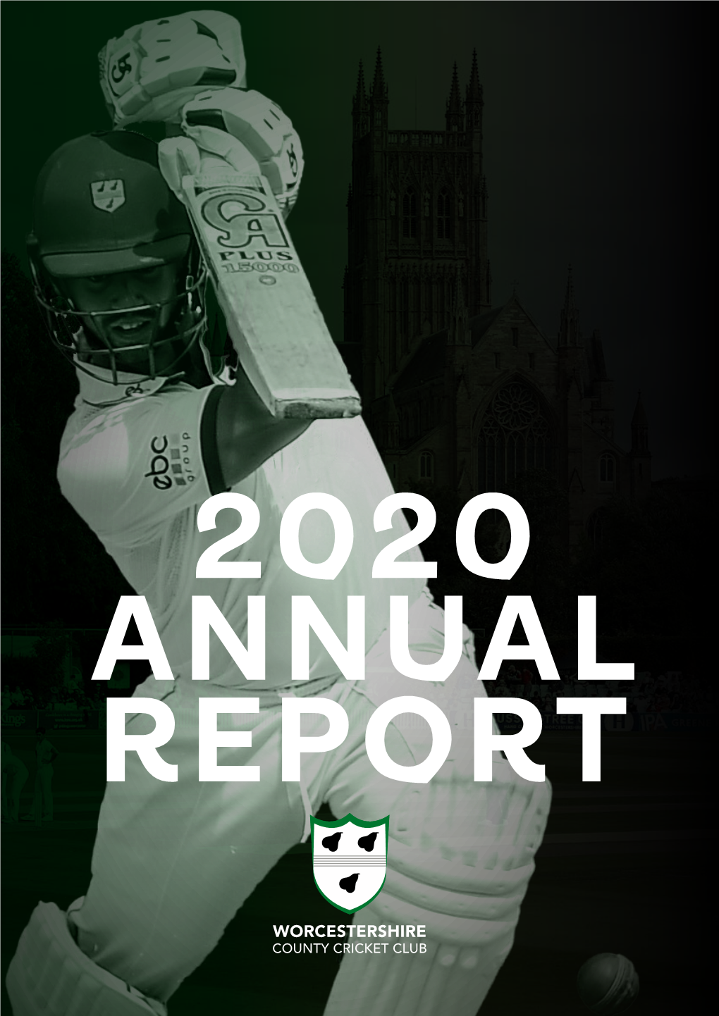 2020 Annual Report