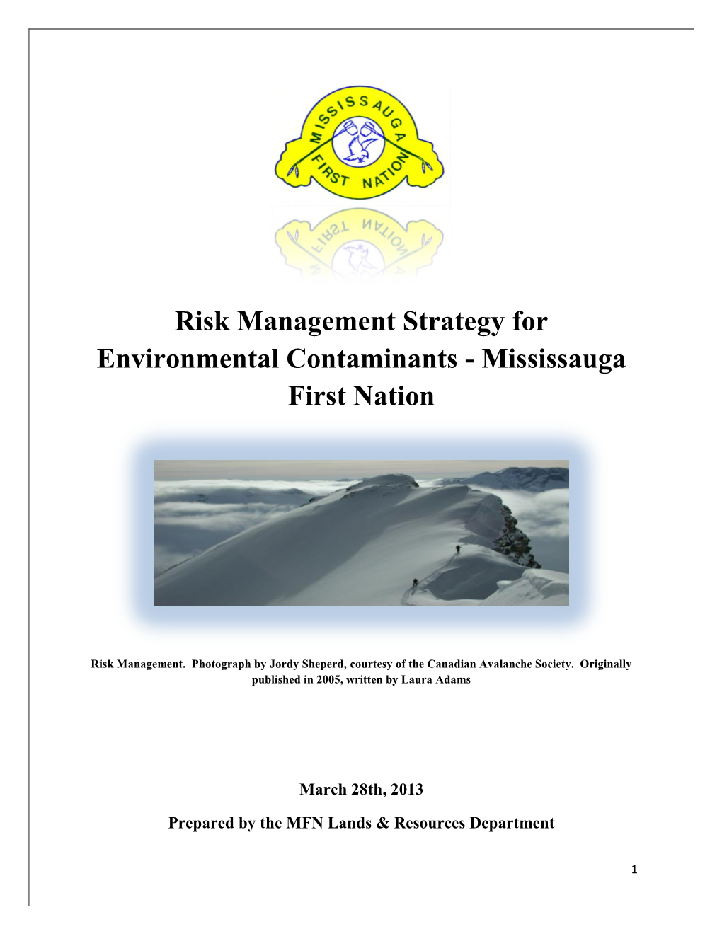 Risk Management Strategy for Environmental Contaminants - Mississauga First Nation