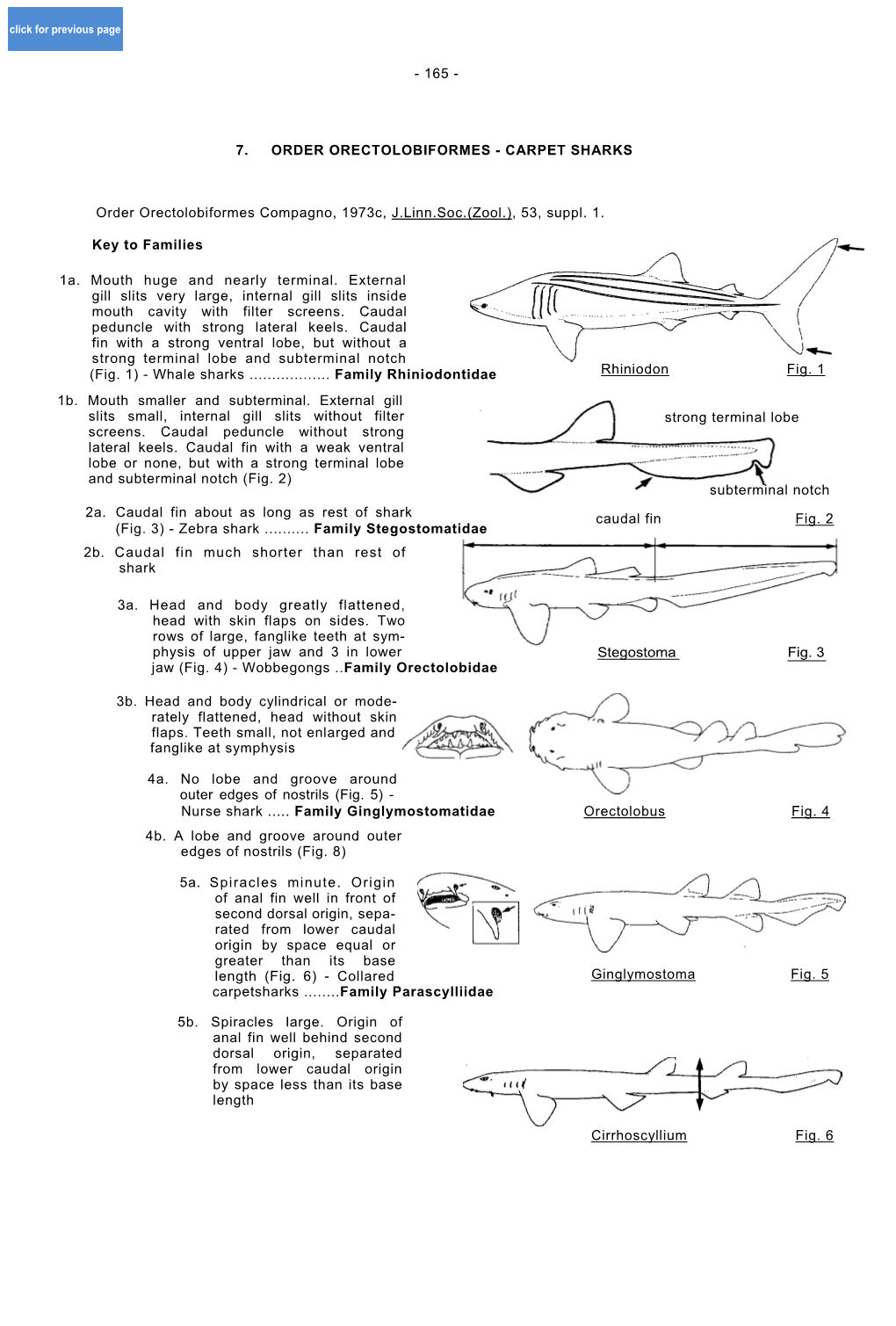CARPET SHARKS Order Orectolobiformes Compagno, 1973C, J