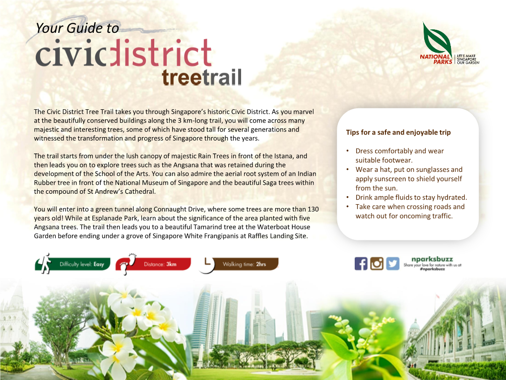Civic District Tree Trail Takes You Through Singapore’S Historic Civic District