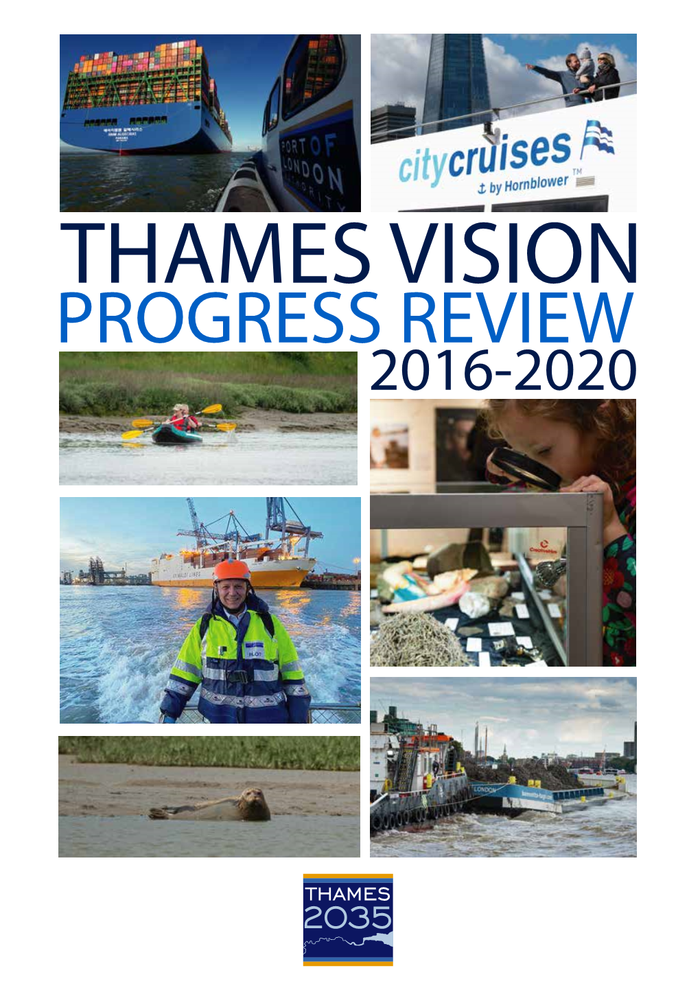 Thames Vision Progress Review 2016-2020