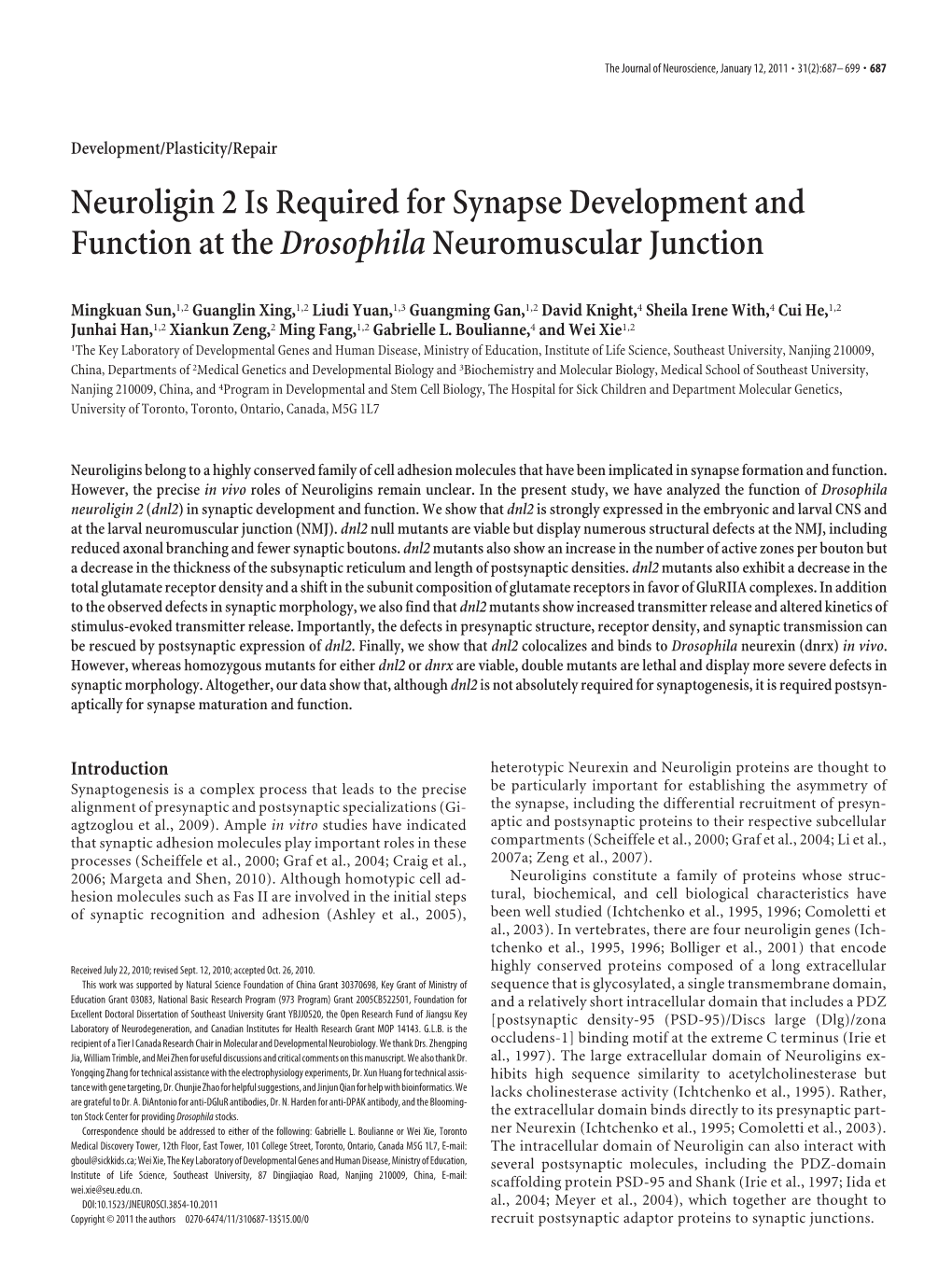 Neuroligin 2 Is Required for Synapse Development and Function at the Drosophila Neuromuscular Junction