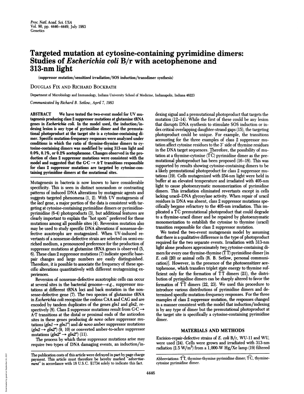 Targeted Mutation at Cytosine-Containing Pyrimidine Dimers