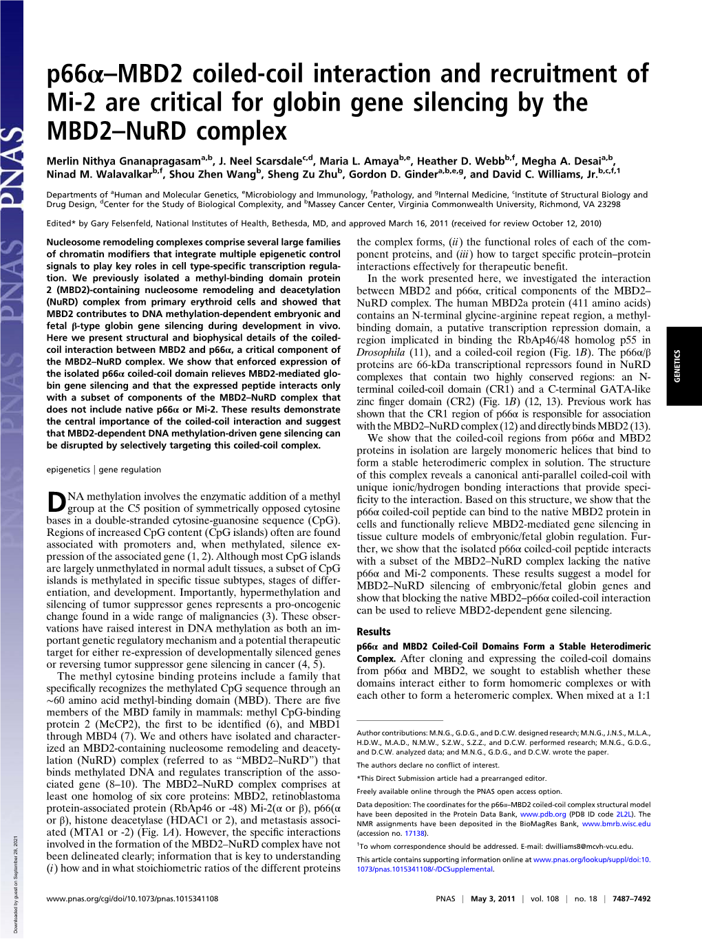 P66α–MBD2 Coiled-Coil Interaction and Recruitment of Mi-2 Are Critical for Globin Gene Silencing by the MBD2–Nurd Complex