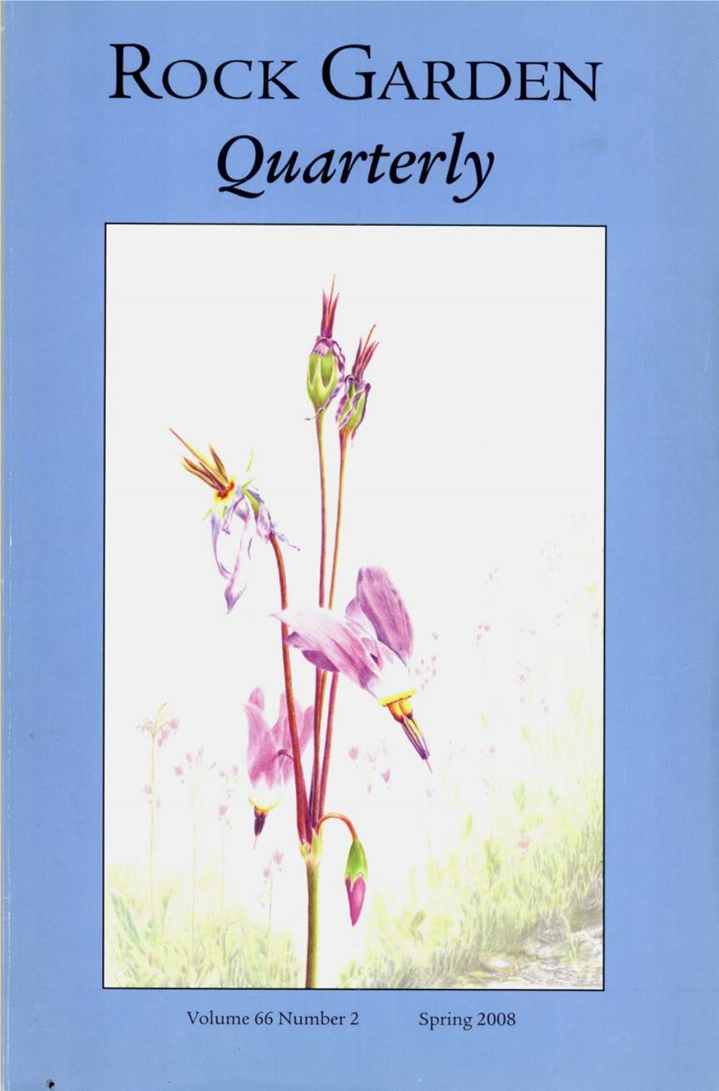 Dodecatheon Pulchellum