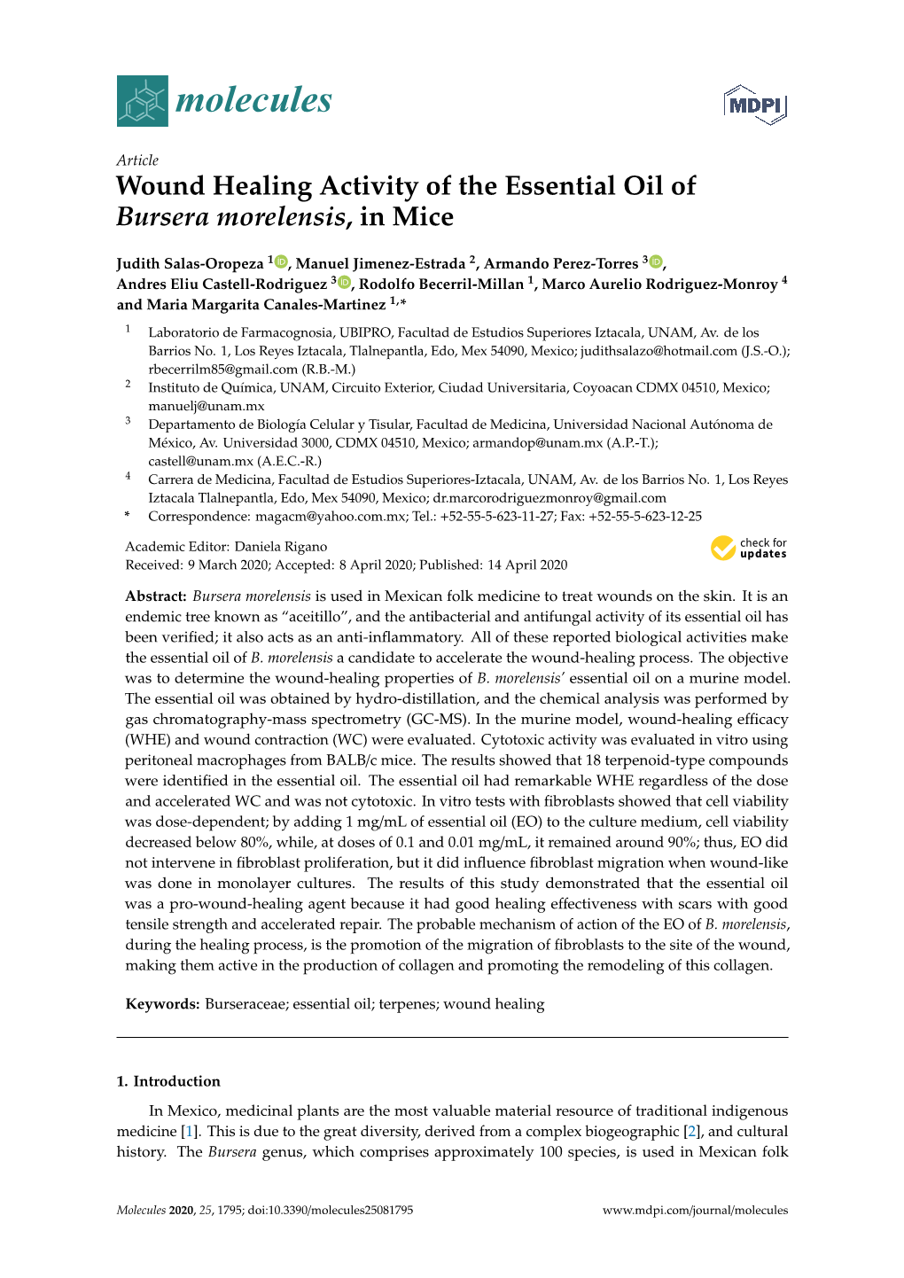 Wound Healing Activity of the Essential Oil of Bursera Morelensis, in Mice