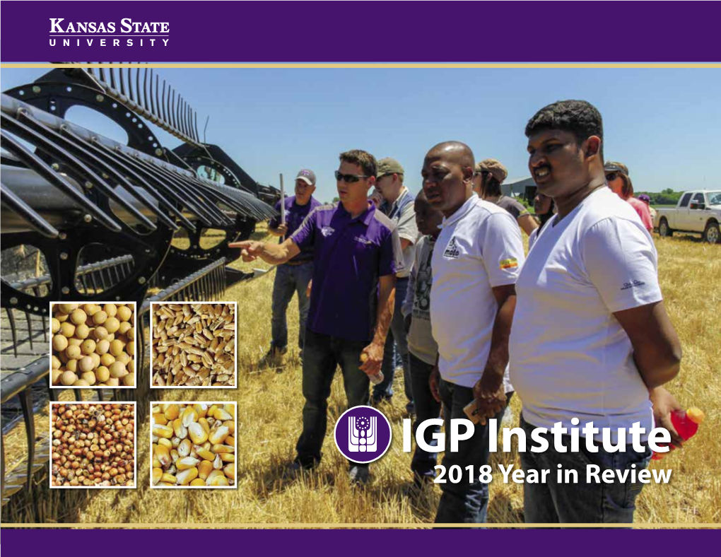 IGP Institute 2018 Year in Review IGP Supporters and Partners