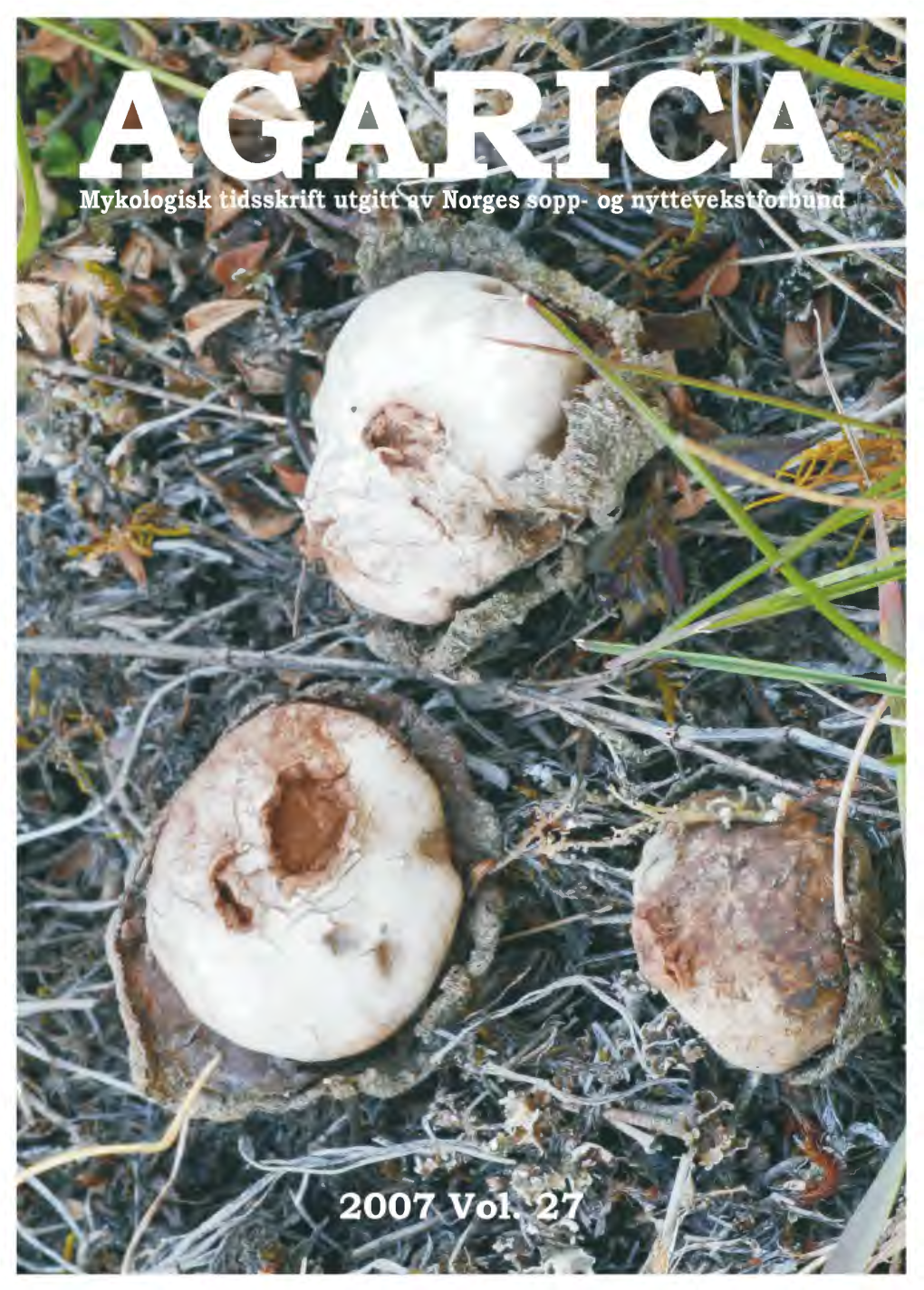 Agarica-Vol-27-2.Pdf