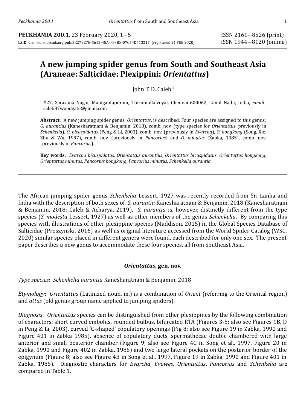 A New Jumping Spider Genus from South and Southeast Asia (Araneae: Salticidae: Plexippini: Orientattus)