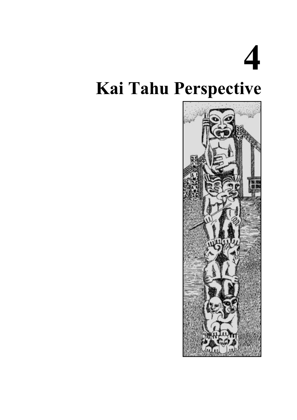 Kai Tahu Perspective