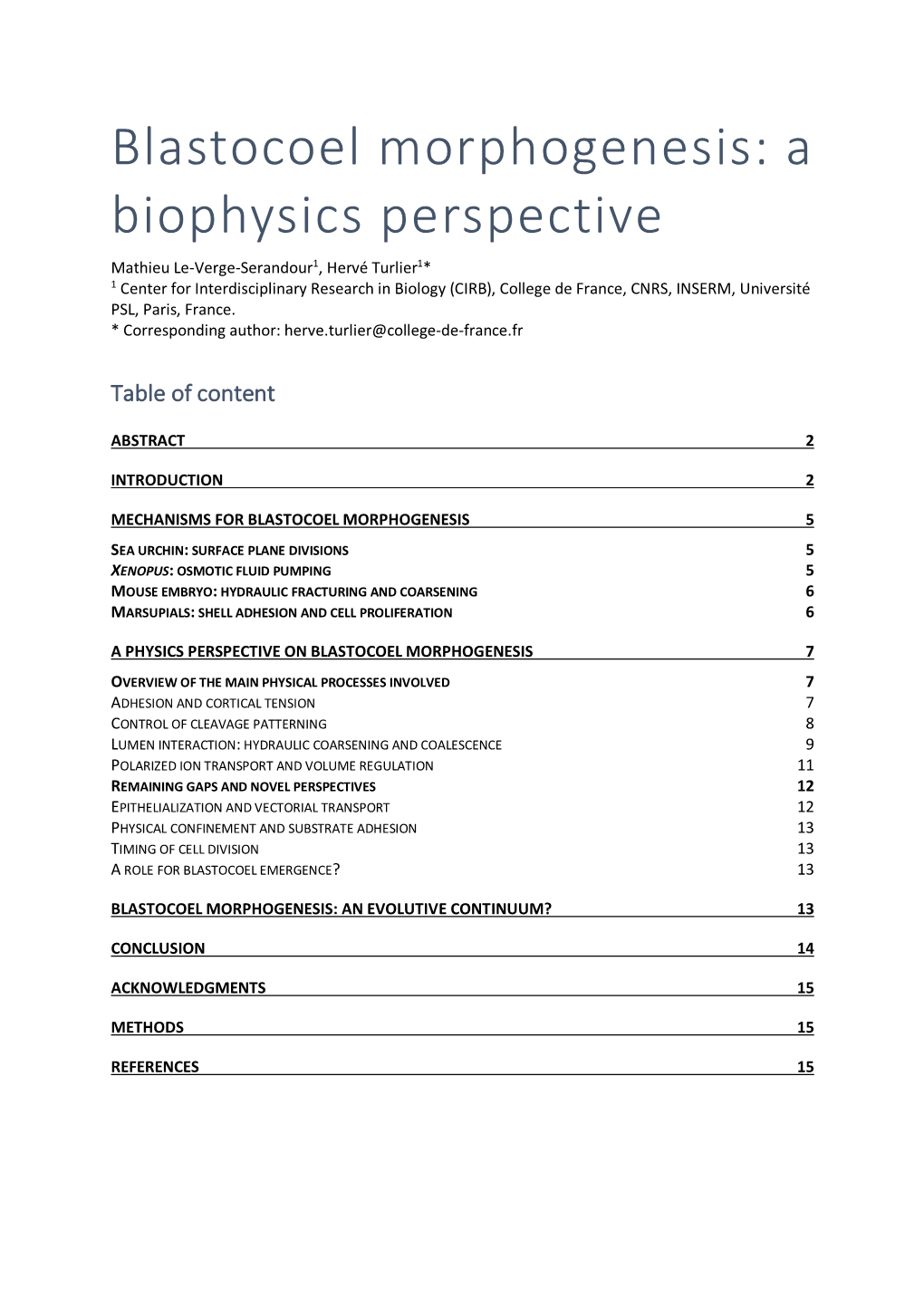 Blastocoel Morphogenesis