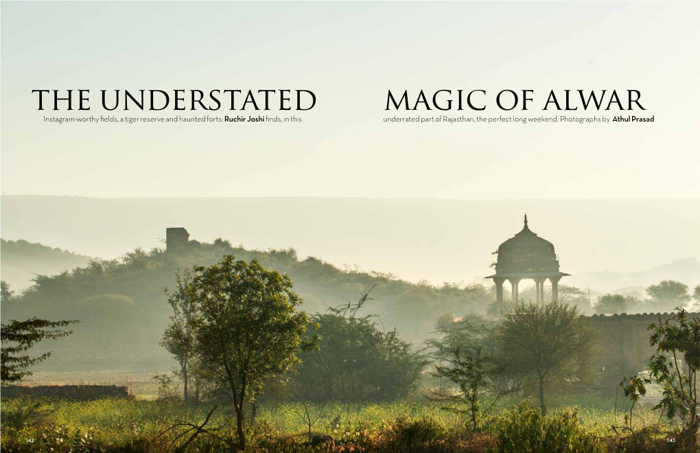 The Understated Magic of Alwar