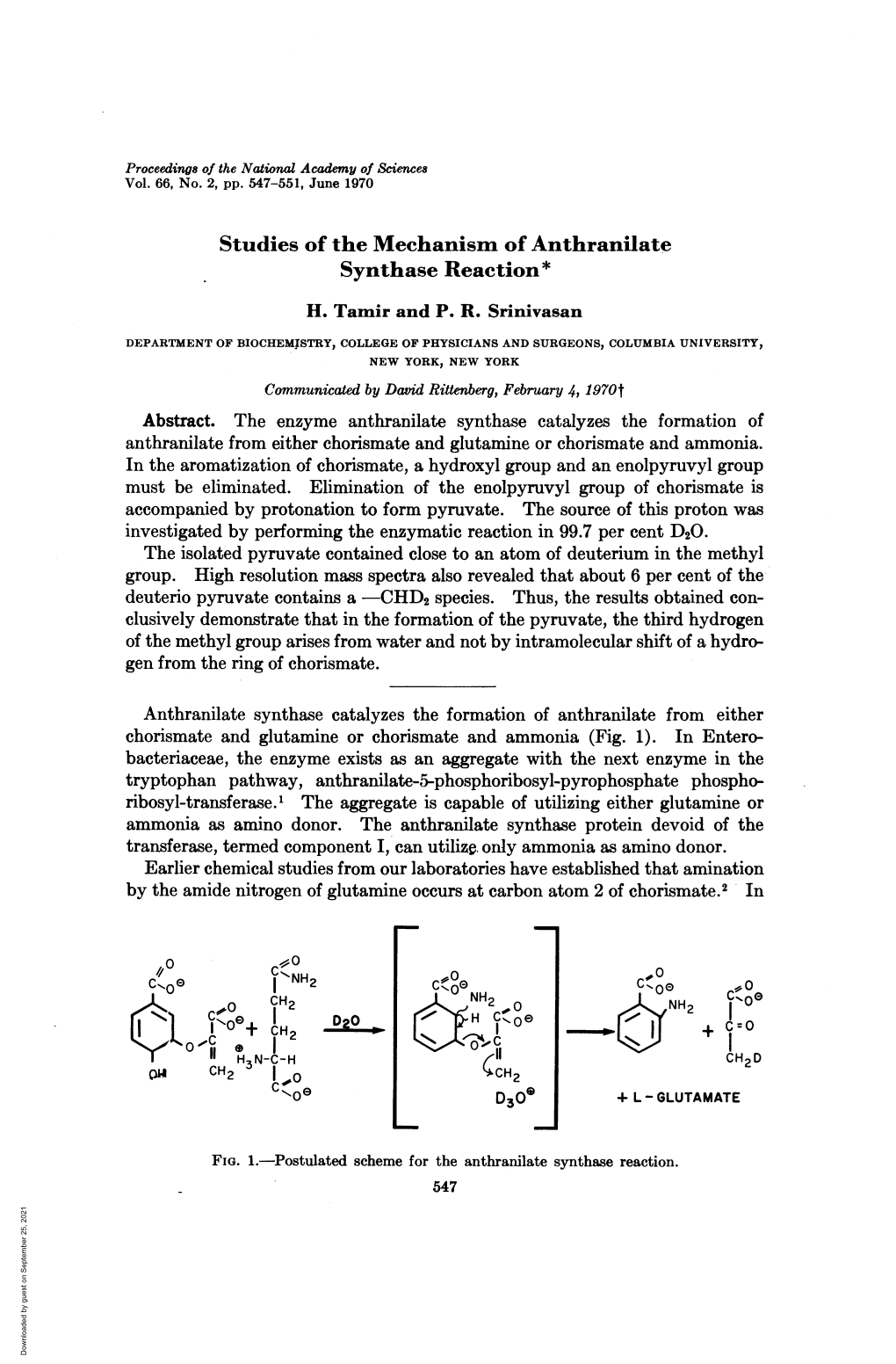 Studies of the Mechanism of Anthranilate Synthase Reaction* H