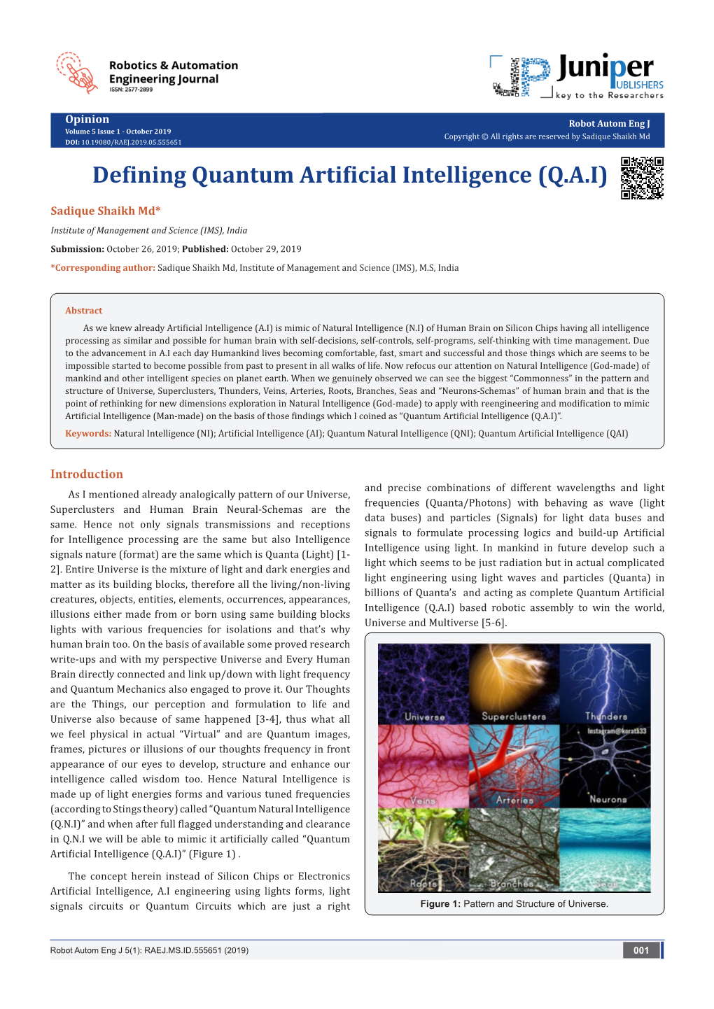 Defining Quantum Artificial Intelligence (Q.A.I)