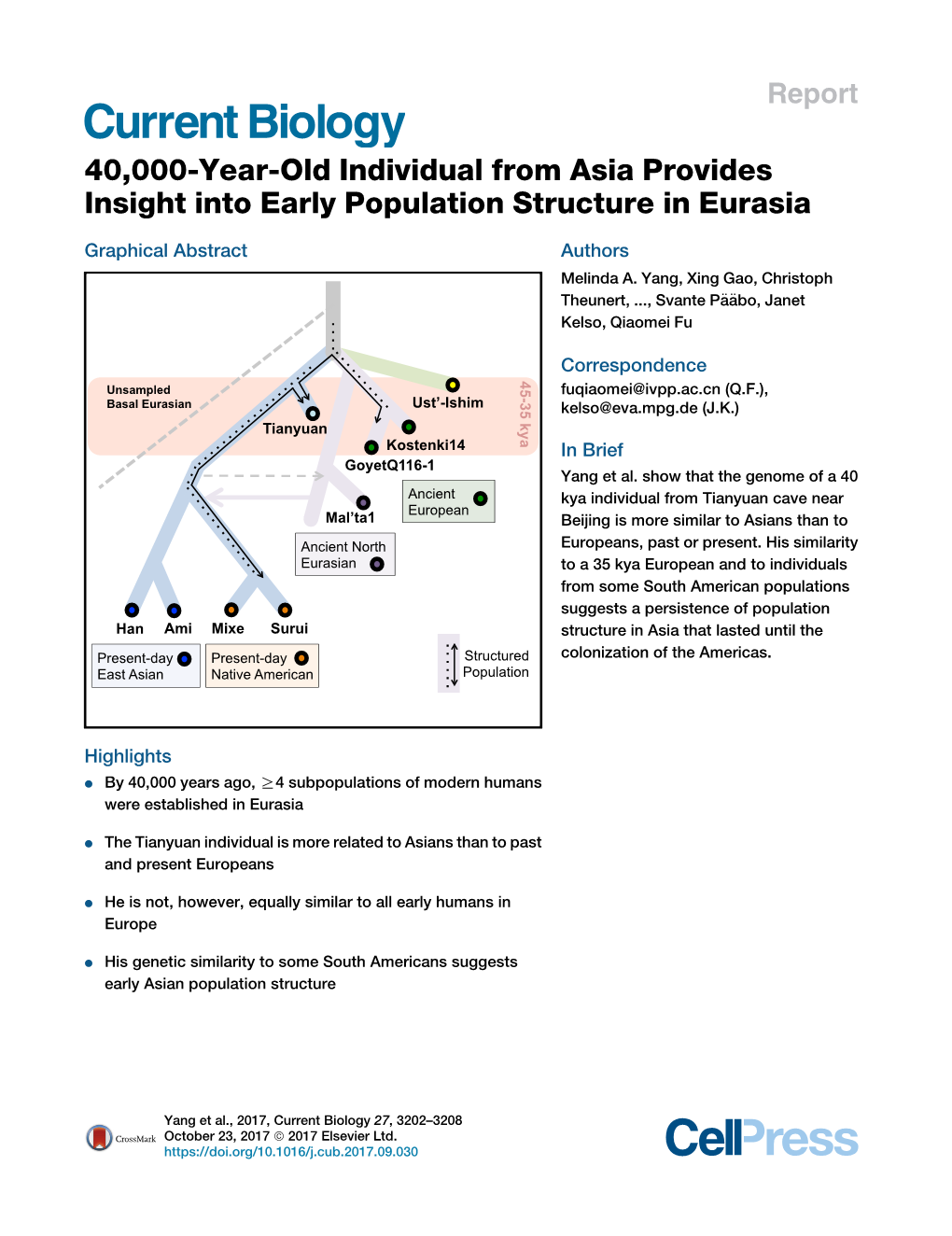 40,000-Year-Old Individual from Asia Provides Insight Into Early Population Structure in Eurasia