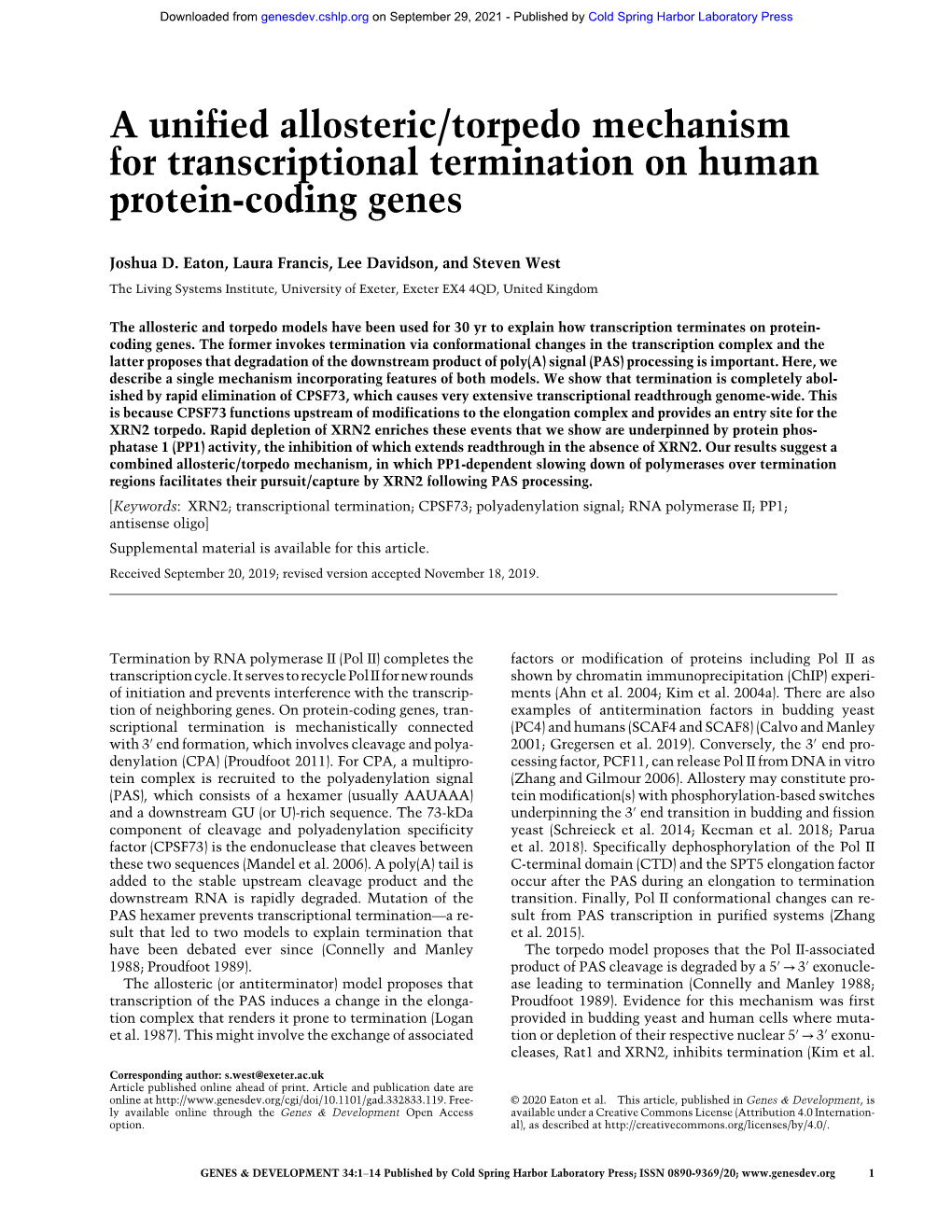 A Unified Allosteric/Torpedo Mechanism for Transcriptional Termination on Human Protein-Coding Genes