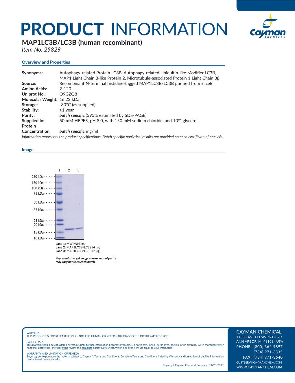 PRODUCT INFORMATION MAP1LC3B/LC3B (Human Recombinant) Item No