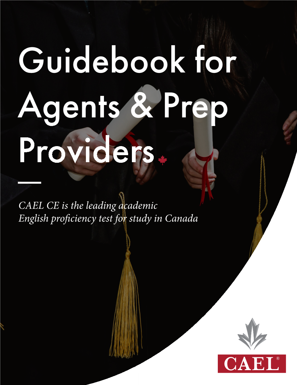 Guidebook for Agents & Prep Providers