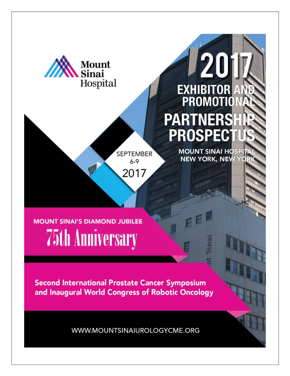 2017-Mt-Sinai-Prospectus Alt.Pdf